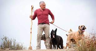 How To Be The Pack Leader - Cesar's Way