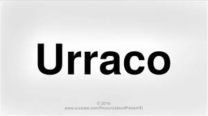 Jun 19, 2021 · translations of countach. How To Pronounce Countach Pronunciation Primer Hd Youtube