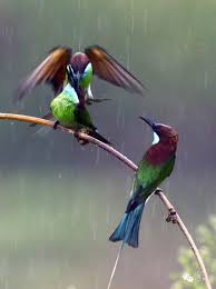 éè¦ä½ çç¾ââèåèè- æ¯æ¥é ­æ¢