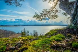 Wonderful photographs and exquisite sights of sweden s images pictures nature wildlife photos nature images naturephoto. Wallpaper 3000x2000 Px Clouds Grass Landscape Nature River Sky Summer Sunlight Sweden Trees 3000x2000 Wallhaven 658218 Hd Wallpapers Wallhere
