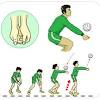 Saat melakukan olahraga bola voli, kita bisa melakukan kombinasi gerak dasar lokomotor, non lokomotor, dan manipulatif. Https Encrypted Tbn0 Gstatic Com Images Q Tbn And9gcqow1ef56yqsx9yoblu0okfhsfw5buknmggs6q S1fmqotzggfv Usqp Cau