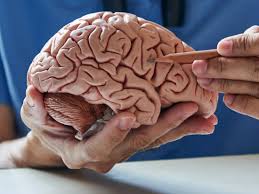 There are several types of neurotransmitters. Neurotransmitters What They Are Functions And Psychology