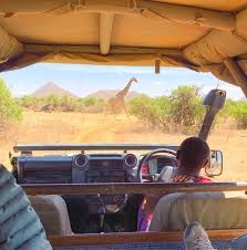 Experiencing Saruni Samburu And Seeing The Northern 5 In Kenya Africa The Sweetest Escapes Kenya Africa Africa Trip
