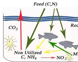 Image of Biofloc Technology in Aquaculture