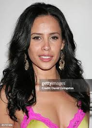 Danielle DiPietro attends an evening of Asian artistry benefiting... News  Photo