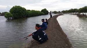 Sebenarnya cara mancing di waduk ini sama juga dengan lokasi lainnya, hanya saja jika pada waktu malam maka peralatan yang dibawa yang membedakan. Ajiiib Ada 3 Spot Mancing Potensial Di Muara Gembong Bekasi Cek Lokasinya Spotmancing Com