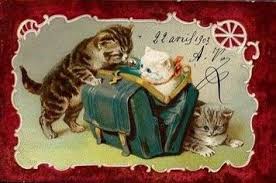 helena maguire 猫 絵 猫 絵