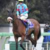 Papa told me cocohana ver.9 ～花冠をあげる～. Https Encrypted Tbn0 Gstatic Com Images Q Tbn And9gctoos5jwtx1 C46 Z02feofjf62gp3cydy99k4dqp Nlrkbaeq Usqp Cau