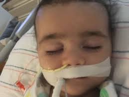 Fundraiser for Brett Pacheco by Elizabeth Burns : Heartbeat for Lucas