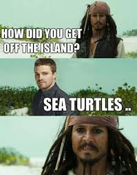 Pin By Rebecca Martinez On Hilarious Funny Pictures Humor Funny