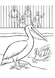 Print Coloring Image Momjunction Zoo Coloring Pages Bird Coloring Pages Animal Coloring Pages