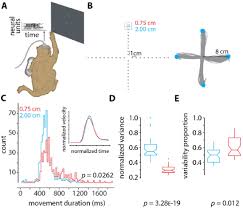The writer has a clever way of putting through his own taste for music thorough the dialogues and arguments of the characters in the book. High Fidelity Musculoskeletal Modeling Reveals That Motor Planning Variability Contributes To The Speed Accuracy Tradeoff Elife