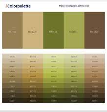 The subtleness of olive green looks good with all shades of blue. 2 Latest Color Schemes With Leather And Olive Green Color Tone Combinations 2021 Icolorpalette
