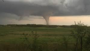 Bark tornado is one of the best things i've ever heard. Alonsa Tornado Part One Our Own Near Miss Embryogenesis Explained