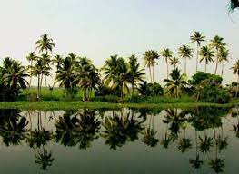 Pin By Safther Ps On Beauty Of Kerala Best Nature Images Nature Photography Nature Photos