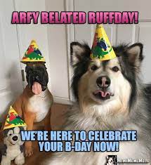 Dog Wearing Party Hat Says Arfy Belated Ruffday We Re Here To Celebrate Your B Day Now Happy Birthday Dog Birthday Dogs Dog Birthday