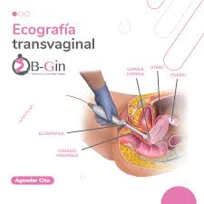 Ob Gin Pagina Inicial Facebook