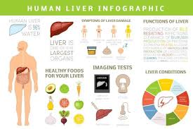 Image result for Liver Function Test Abnormality