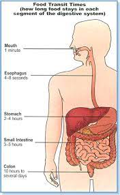 Aerators introduce air into sewage treatment systems to mix and oxygenate the liquid, and this system is made up of three chambers that filter and purify household water. Www Colonicshouston Com Colon Hydro Therapy Houston Tx Natural Colon Cleanse Colon Cleanse Colon