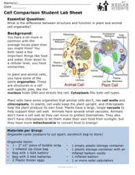 There are several organelles within a plant cell with each one carrying a specific function. Plant And Animal Cell Organelles Inquiry Labs By Kesler Science Tpt