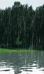 Download animated wallpaper, share & use by youself. 42 Raining Live Wallpaper On Wallpapersafari