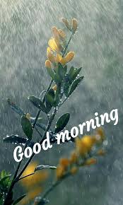 Pin By Tabuthaglenn On Good Morning Good Morning Rainy Day Rainy Good Morning Good Morning Images Flowers