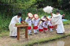 two shinto priests blessing a rice planting while dressed in kariginu heian era shinto rice plant