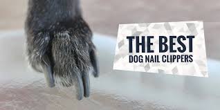 Use these three simple steps to clip your dog's nails quickly, cleanly, and effectively. Top 5 Best Dog Nail Clippers Pliers Scissors Grinders Guillotines