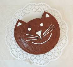 Katzen vertragen nämlich keinen milchzucker (laktose). Blogger Katzen Kuchen Katzenkuchen Kindergeburtstag Kuchen Katze