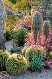 Pacific Horticulture Society Succulent Gardens Succulent Landscaping Succulent Landscape Design Succulents Garden