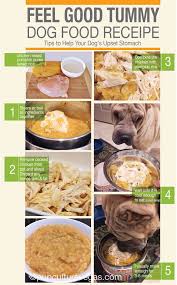 Dog S Got A Tummy Bug Try Pumpkin It S Really Soothing For Sensitive Tummies Check Out This Easy Recipe I Dog Food Recipes Make Dog Food Dog Upset Stomach