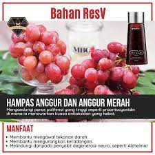 Anggur hitam dan hep c. Anggur Hitam Dan Hep C