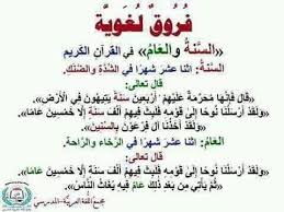Pin By Ahmed Yassine On اللغة العربية Learn Arabic Language Arabic Lessons Arabic Language