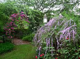 It produces clusters of small flowers attracts butterflies: Plants For The Butterfly Garden Finegardening