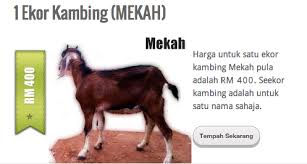 100% ternakan berkualiti tinggi pada harga berpatutan. Ibadah Korban Kambing Di Mekah Denaihati