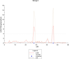 Image result for Eragrostis humidicola