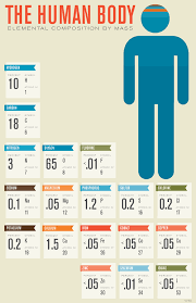 What Is The Human Body Made Of Infographic Health Chemistry Lessons Body Composition