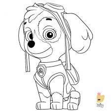 Patrulla Canina Para Colorear Sky
