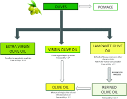Extra Virgin Olive Oil A Key Functional Food For Prevention Of Immune Inflammatory Diseases Food Function Rsc Publishing Doi 10 1039 C6fo01094f