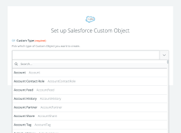 Dealing With Salesforce Legacy Custom Objects Salesforce Legacy Help Support Zapier