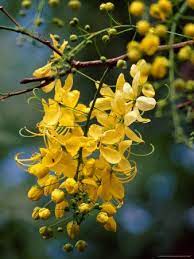 Pin On Nature Scapes And Miracles