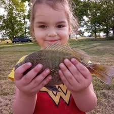 Hickory Grove Paylake