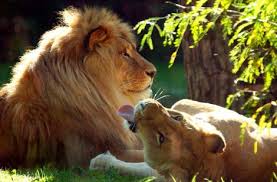Zoo Rostock Rostock Ausflug Hotel Warnemunde