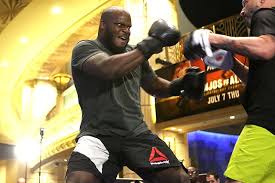 Ufc fighters react to derrick lewis devastating knockout over alexander volkov at ufc 229 derrick lewis vs. Ufc 229 Results Derrick Lewis Kos Alexander Volkov For Donald Trump