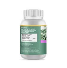 Image result for Elephantopus scaber