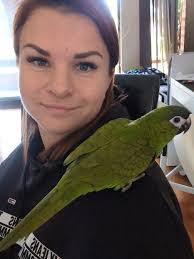 Brendan Sutton's Instagram, Twitter & Facebook