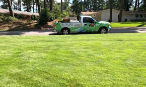 Eliminate outside threats with lawn pest control in cape coral. Best Lawn Care And Pest Control In Csra About Us Kathleen S Lawn Ornamental Pest Control