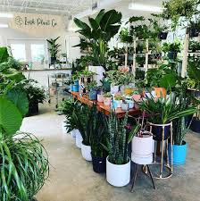 Hours may change under current circumstances Lush Plant Co City Of Decatur Ga