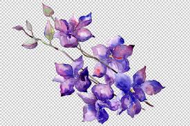 Purple and white flowers, border, purple, flower arranging png; Bouquet Of Purple Flowers Png Watercolor Set By Mystocks Thehungryjpeg Com