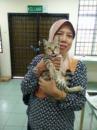 Is a 2015 philippine drama television series directed by veronica b. Neos Anak Kak Top Oh My Jep Eintan Nurfuzie Lifestyle Beauty Travel Tips Rawatan Kucing Review